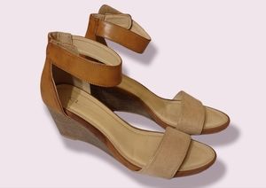 Ankle Strap Wedge Heels